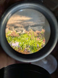 Magna Sight Enlarger Magnifying Grain Focuser