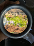Magna Sight Enlarger Magnifying Grain Focuser