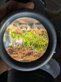 Magna Sight Enlarger Magnifying Grain Focuser