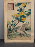 1883 Japanese print by Kono Bairei "Yellow Hibiscus and Falcon" from Bairei's Flower and Bird Album