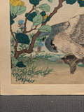 1883 Japanese print by Kono Bairei "Yellow Hibiscus and Falcon" from Bairei's Flower and Bird Album
