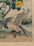 1883 Japanese print by Kono Bairei "Yellow Hibiscus and Falcon" from Bairei's Flower and Bird Album