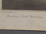 1799 Wheatley Engraving of "Strawberries, Scarlet Strawberries" from "Cries of London"